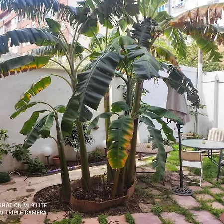 Apartamento Cozy En Ruzafa 2-4 Personas Con Aire Acondicionado Y Salida Directa A Terraza Valência